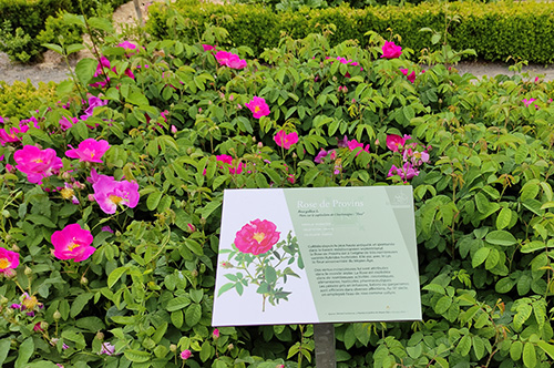 pano sceno jardin des simples