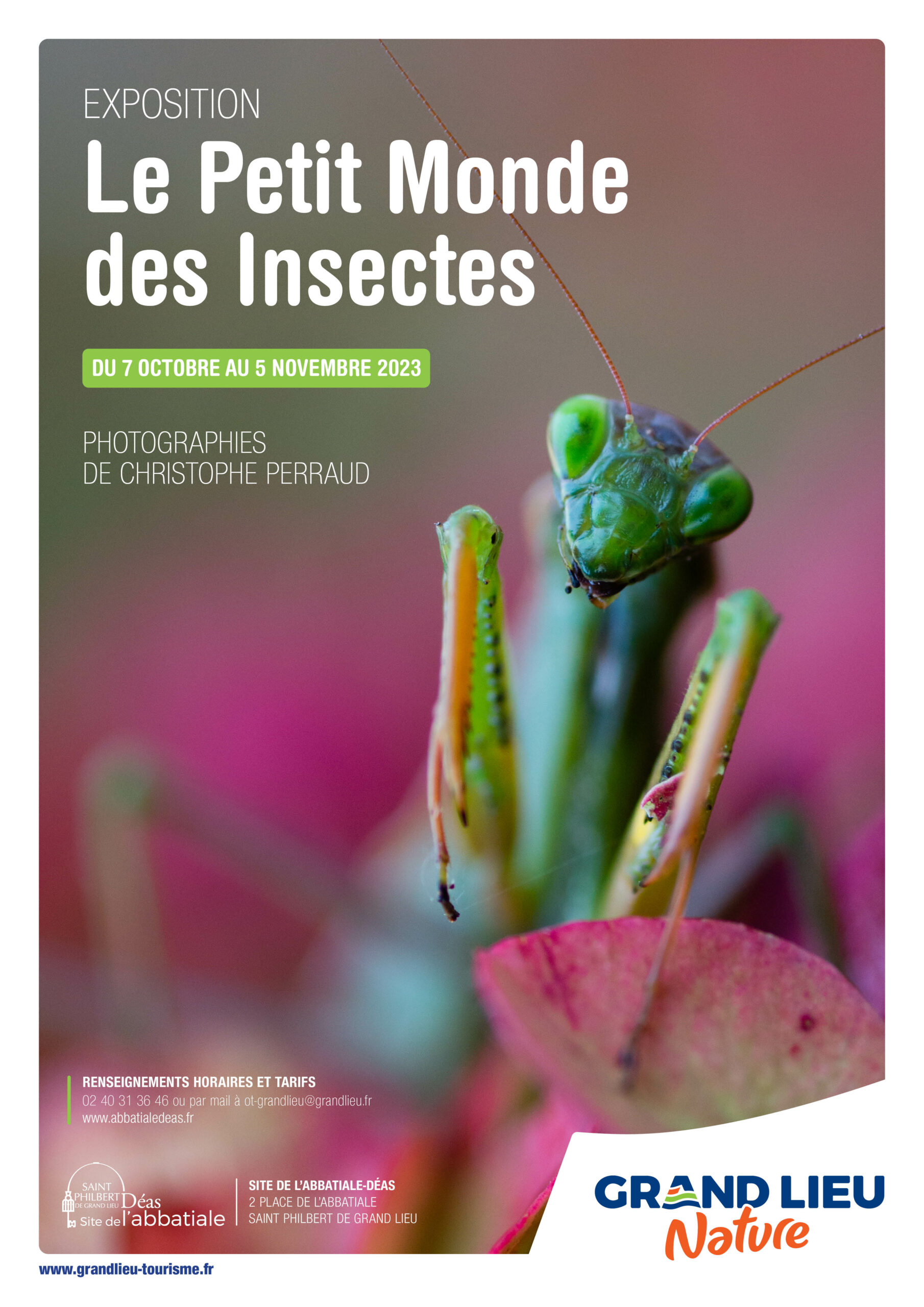 Expo Le petit monde des insectes scaled