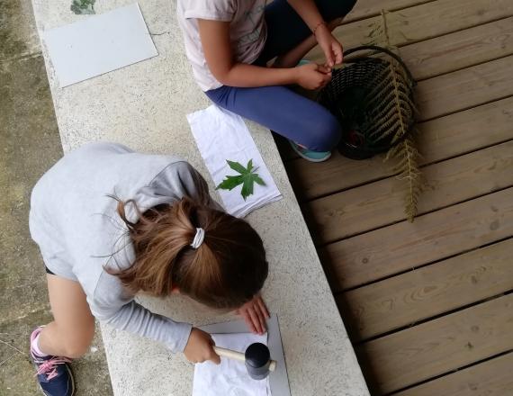 IMG 20190712 114545
