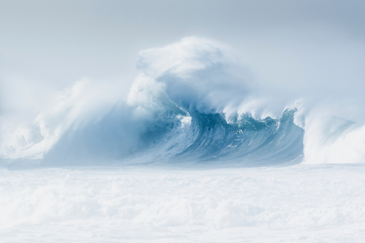 Copyright Jean Michel Lenoir